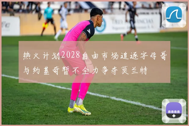 热火计划2028自由市场追逐字母哥与约基奇暂不全力争夺莫兰特