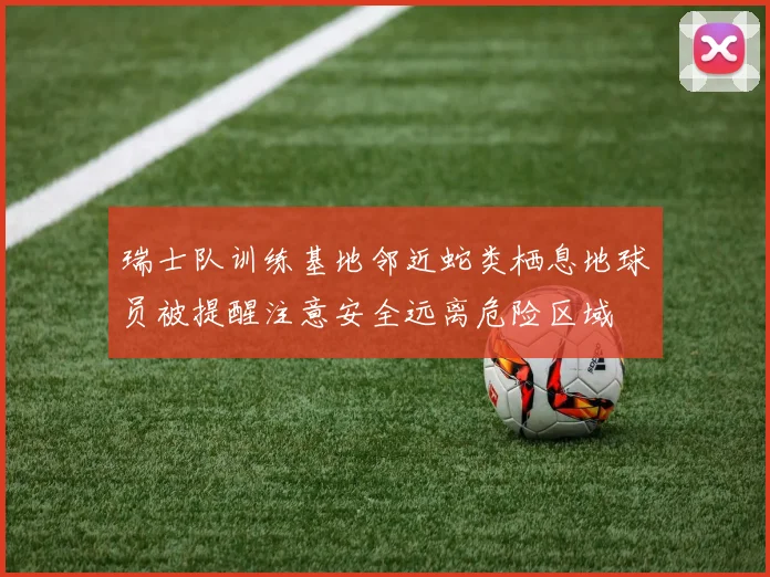 瑞士队训练基地邻近蛇类栖息地球员被提醒注意安全远离危险区域